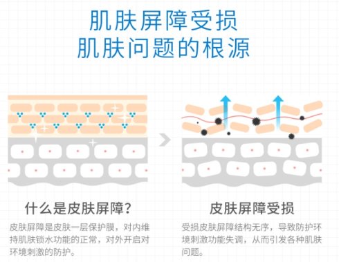 WIS护肤知识|敏感肌要怎么改善？